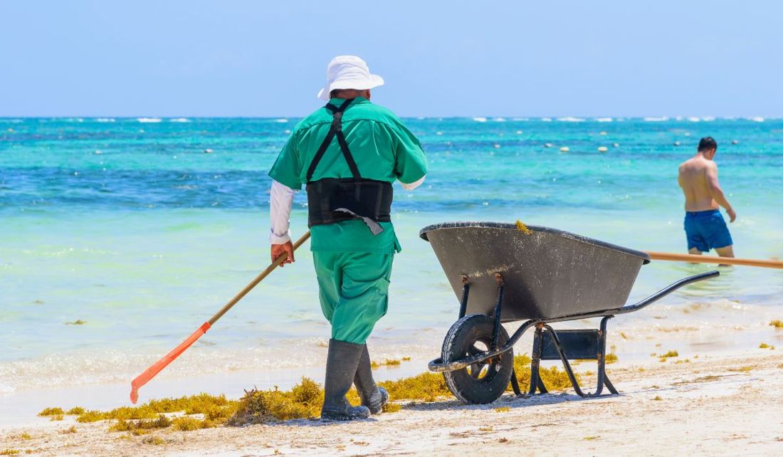 Sargassum Season in Cancun Area Nearing Its End, Says Governor
